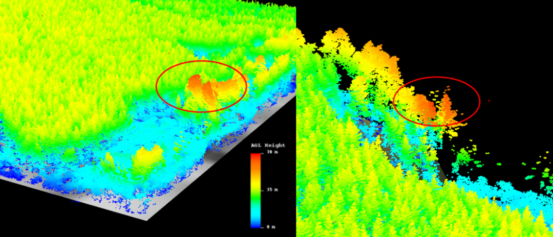 LiDAR Derived Canopy Height Model – Practical Tips In Implementing Use ...