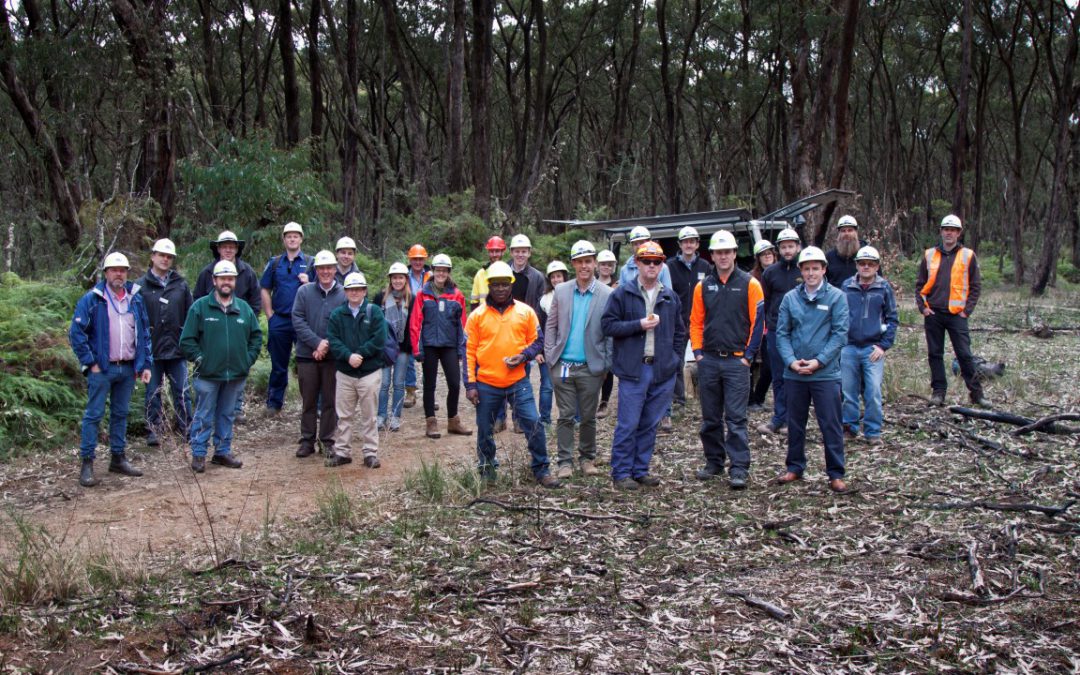 Interpine Plays Key Role in Making the Victorian Forest Monitoring Program Reach 5 Year Milestone