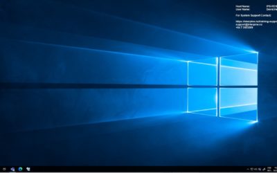 Understanding the Look and Feel of the Remote Desktop Environment