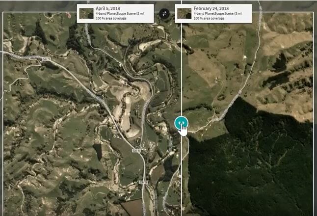 Using High Cadance (Daily) Satellite Imagery for Forest Monitoring