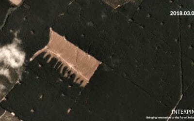 Watching a Forest be Harvested from Space Using Daily Satellite Imagery