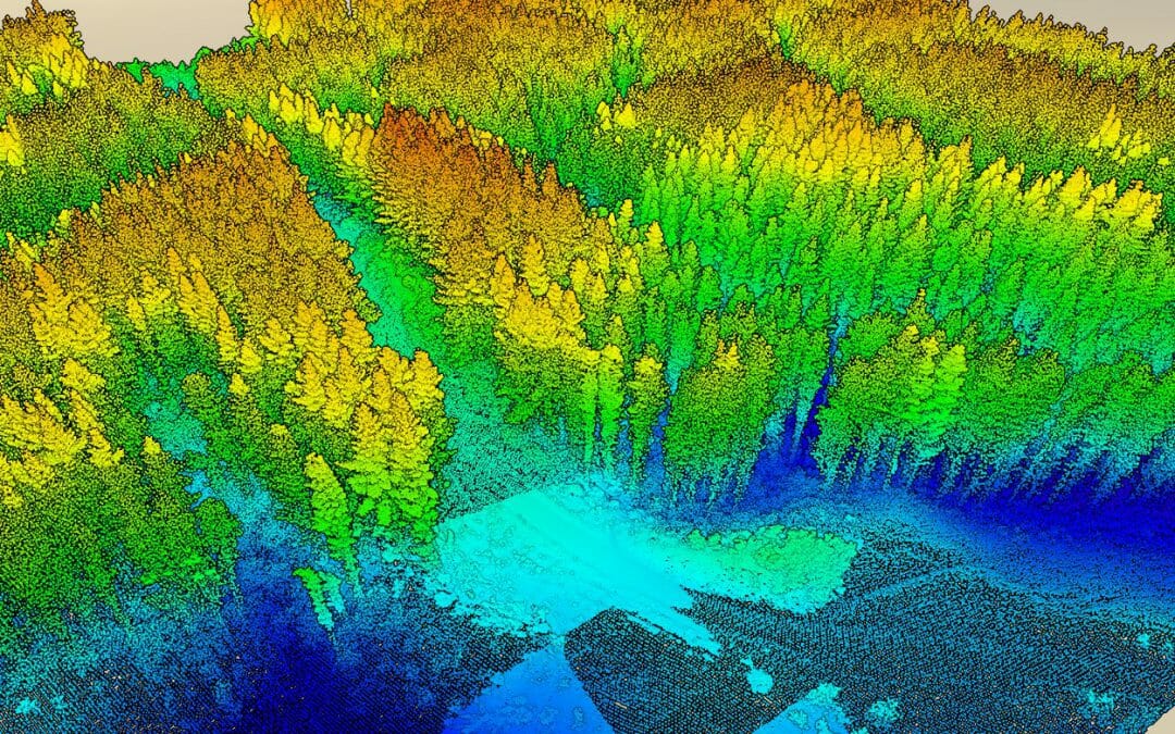 The Best Precision In Precision Forestry: Drones In Timber Volume Measurements References