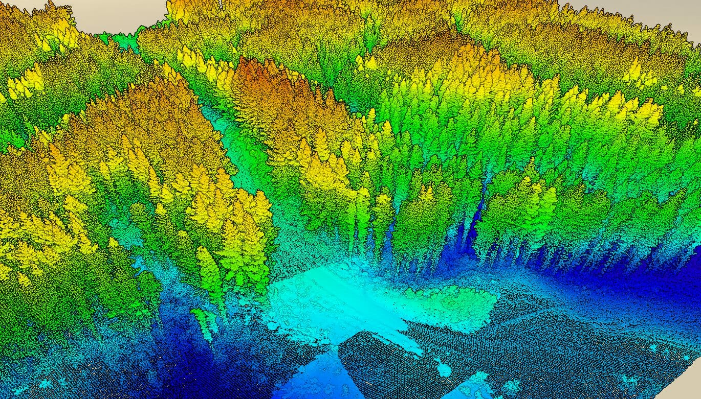 LiDAR – Seeing The Forest For The Trees | Interpine Innovation