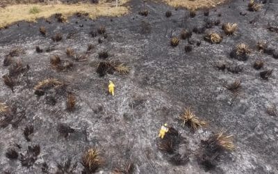 UAV Team Southland Fire Deployment