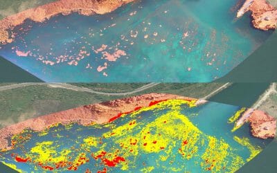 Multispectral Mapping of Invasive Aquatic Weed Using Drones / UAV