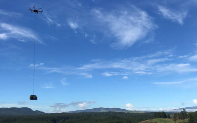 Tree Seedling Delivery using Drones becomes a Reality