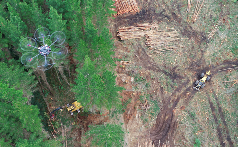 Improving the Modelling of Forest Harvesting through Drones Studies