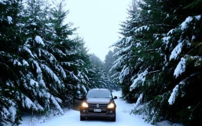 Interpine Achieves 100% Quality Rating for National LUCAS Carbon Inventory