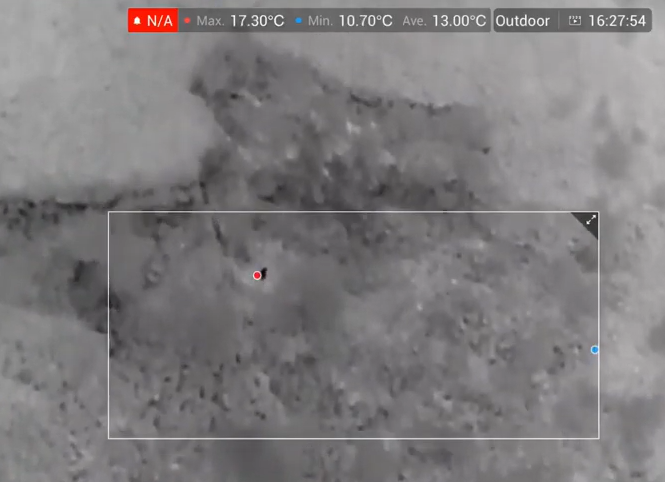 Thermal Infrared Pest Monitoring and Detection Using Drones