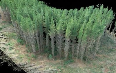 3D Modelling Forest for Harvesting Productivity Studies
