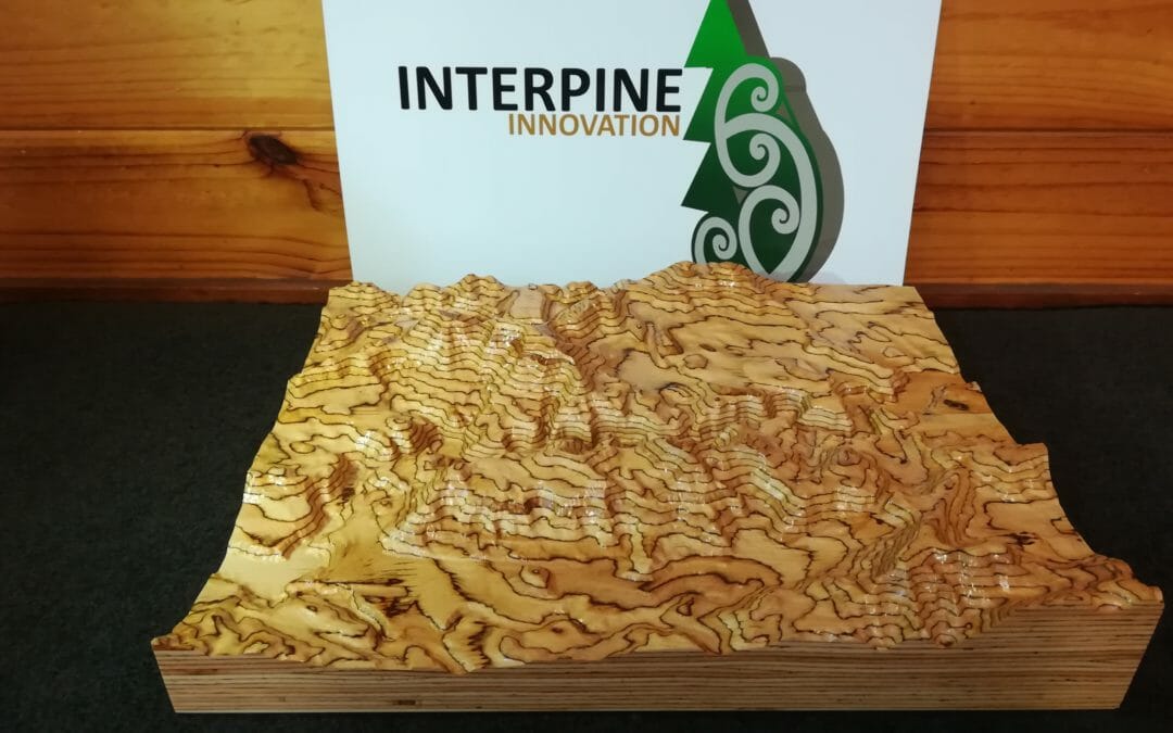 3D LiDAR Terrain Model Carved from Laminated Wood