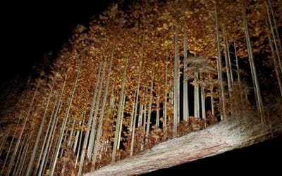 New Forest Scanning Systems Tested