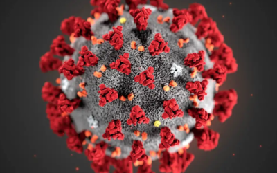 COVID19 – We Are At Work in the Cloud, We Can Help You Work in the Cloud