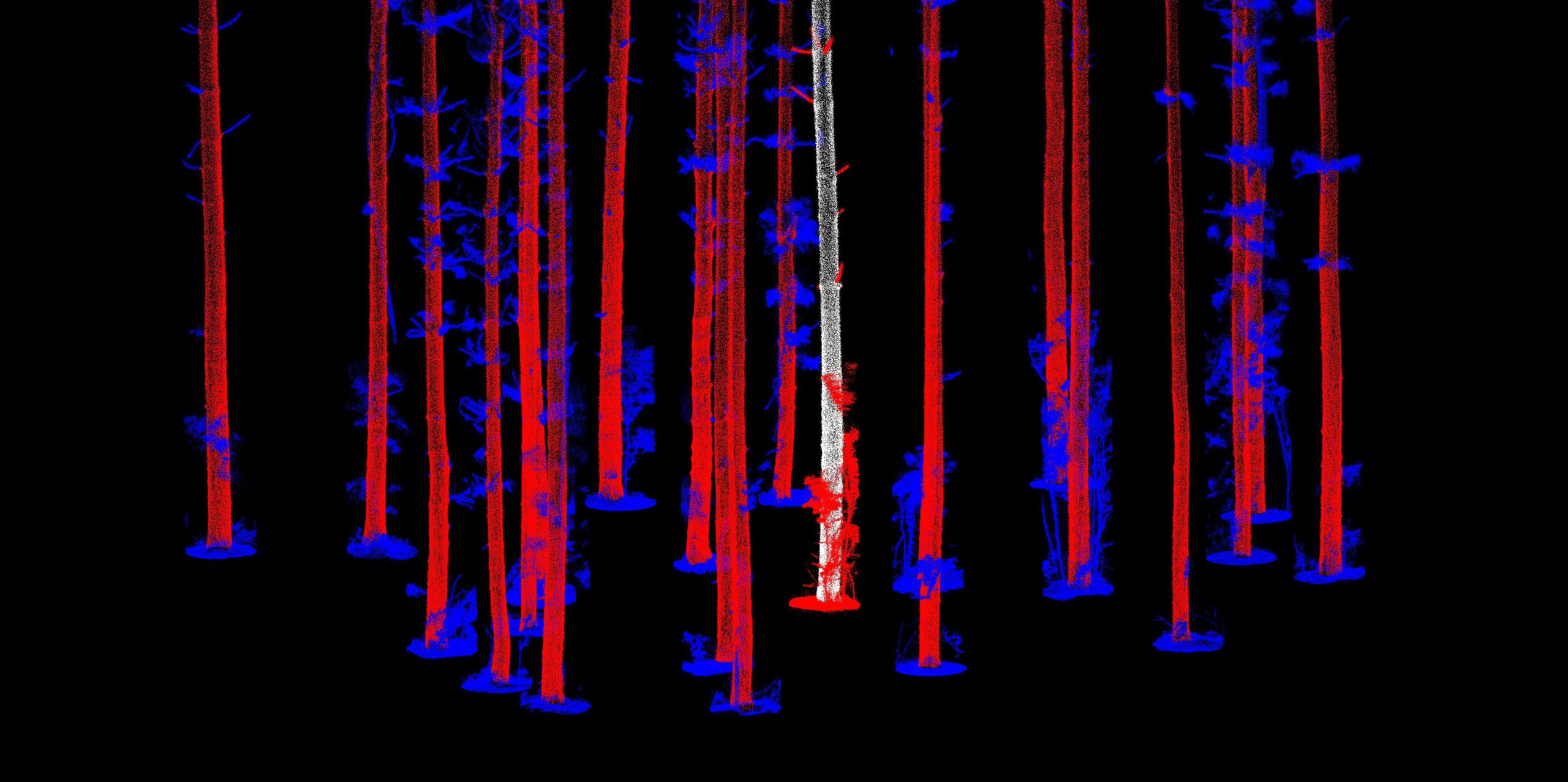 Interpine LiDAR Forest Inventory Tree Profile Extraction
