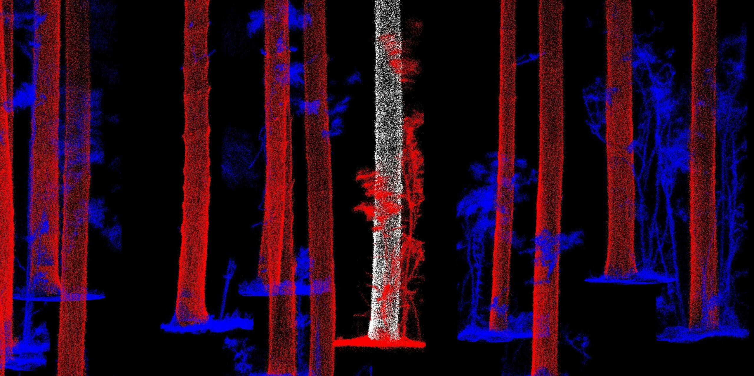 Interpine LiDAR Forest Inventory Tree Profile Extraction