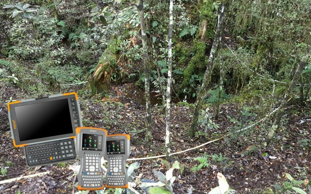 Electronic Data Capture for DOC Natural Forest Inventory