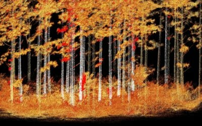 Development of 3D LiDAR Tree Feature Extraction for Forest Inventory Assessment