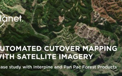 Automated Cutover Mapping with Satellite Imagery – Case Study