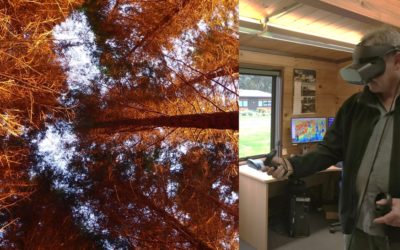 Operational Immersive Visualisation and Measurement of Dense Point Cloud Data in Forest Inventory