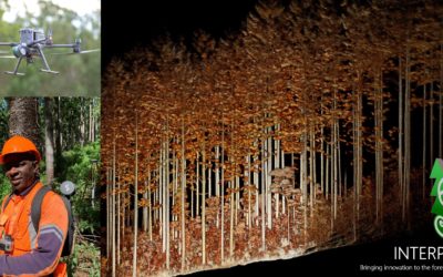 Adding the Emesent Hovermap SLAM LiDAR Solution to our Services