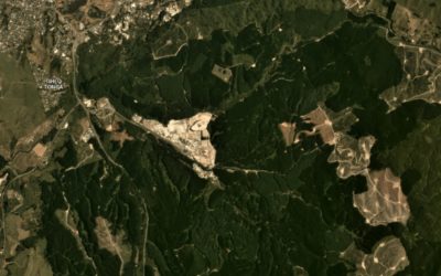 Interpine Partners with Planet to Provide Access to High Frequency Satellite Imagery