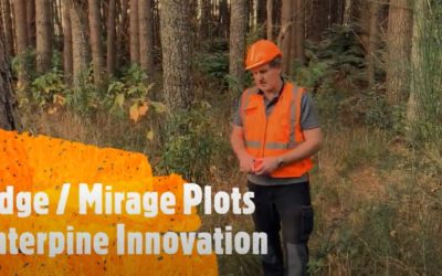 Edge Plots – Forest Inventory Procedures Using PlotSafe