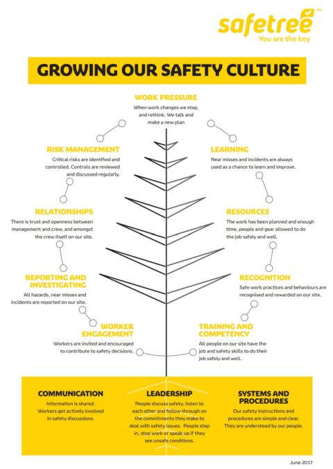 Safe Tree Certification – Growing our Safety Culture | Interpine Innovation