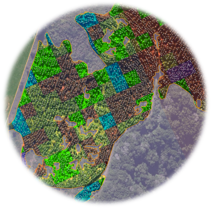 Interpine Forestry GIS Mapping Example 1 | Interpine Innovation