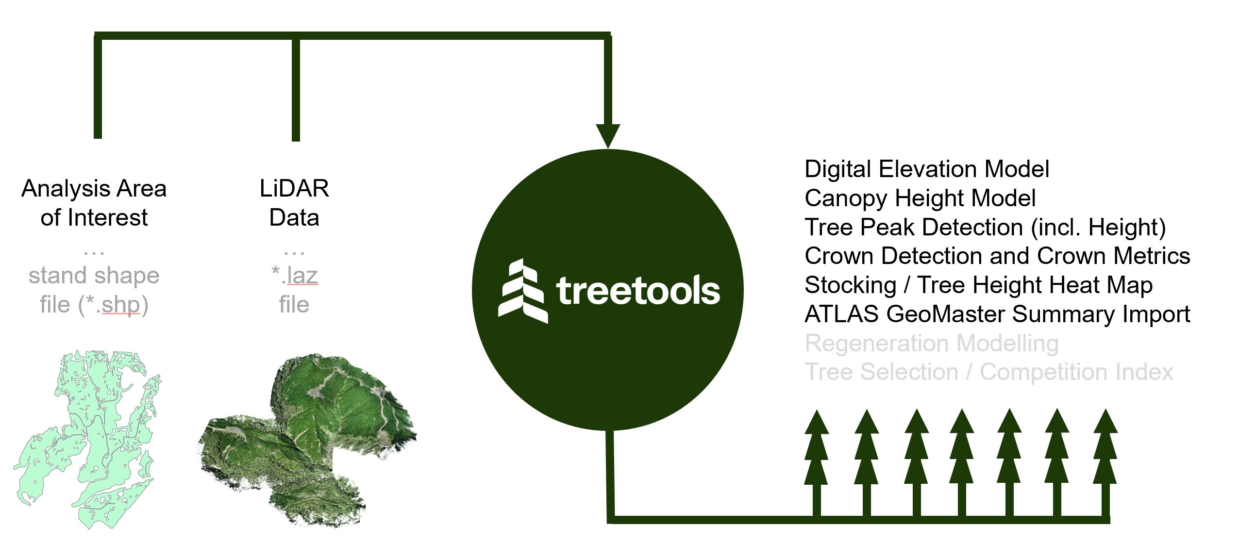 TreeTools Online LiDAR Processing Workflow